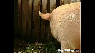 old bitch fucked in ass