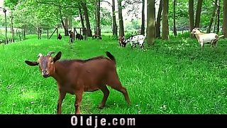 interracial old and young